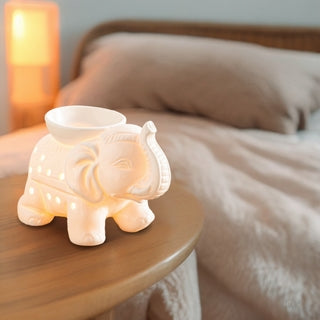 Brule parfum éléphant