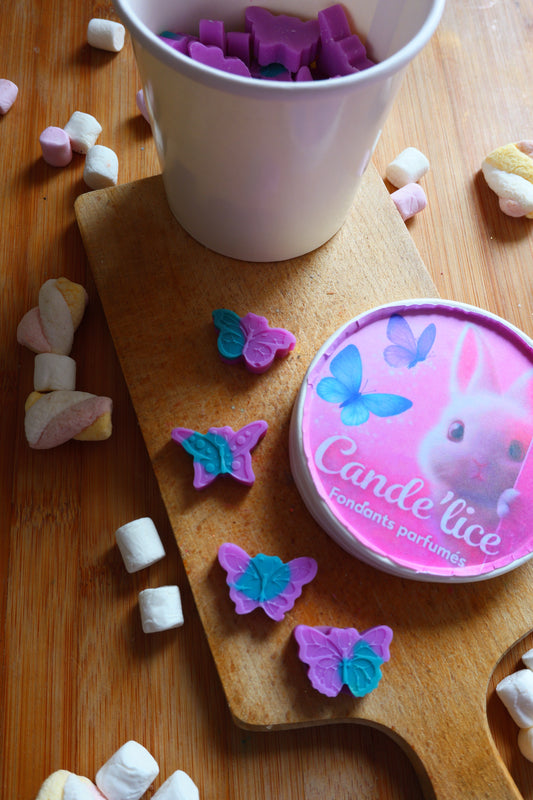 Pot fondants papillon