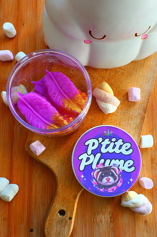 P'tite plume pet de furet