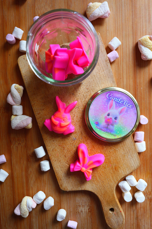 Box fondants lapins de paques