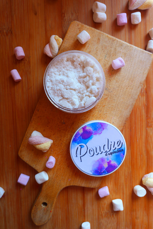 Poudre d'aspirateur 90g