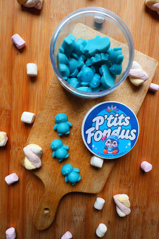 Box fondants minis pingus