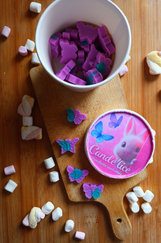 Pot fondants papillon